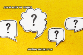 Arabi Baide Ne Demek?