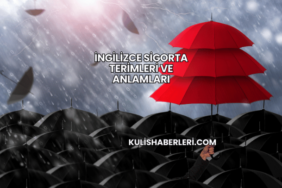 İngilizce Sigorta Terimleri ve Anlamları