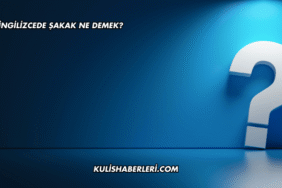 İngilizcede Şakak Ne Demek?