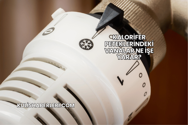 Kalorifer Peteklerindeki Vanalar Ne İşe Yarar?