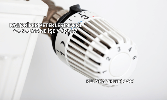 Kalorifer Peteklerindeki Vanalar Ne İşe Yarar?