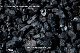 Kömür Tozunun Faydaları Nelerdir?