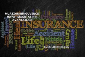 Muazzam Bir Güvence: Hayat Sigortasının Avantajları