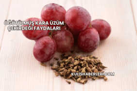 Öğütülmüş Kara Üzüm Çekirdeği Faydaları