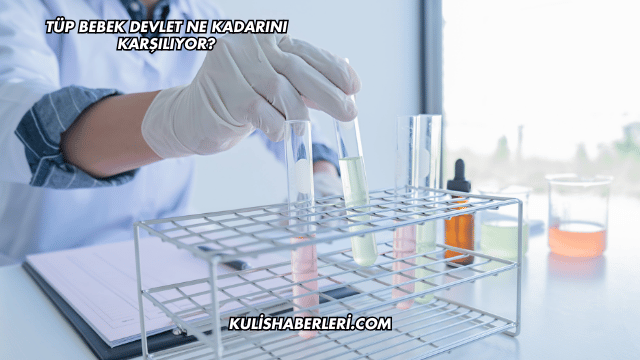 Tüp Bebek Devlet Ne Kadarını Karşılıyor?