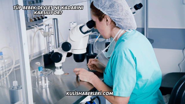 Tüp Bebek Devlet Ne Kadarını Karşılıyor?