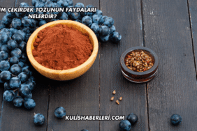 Üzüm Çekirdek Tozunun Faydaları Nelerdir?