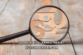 Google Bilgi Paneli Nedir?